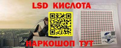 бошки Гатчина