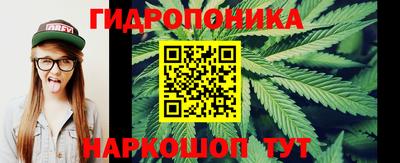 СК Гай