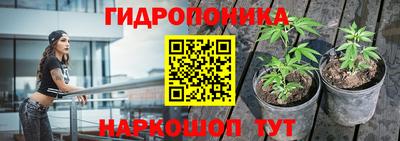 бошки Гатчина