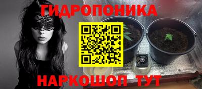 бошки Гатчина