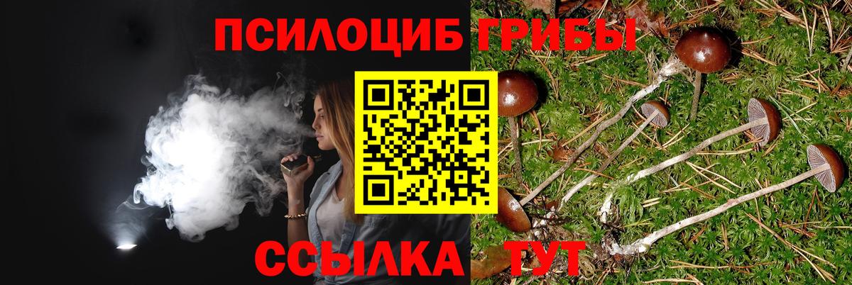 наркота  Вход с VPN  Галлюциногенные грибы Psilocybine cubensis  Реж  Галлюциногенные грибы MAGIC MUSHROOMS 